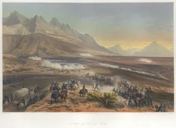 Battaglia di Buena Vista (23 febbraio 1847)